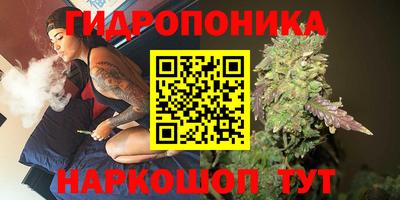 ешки Будённовск