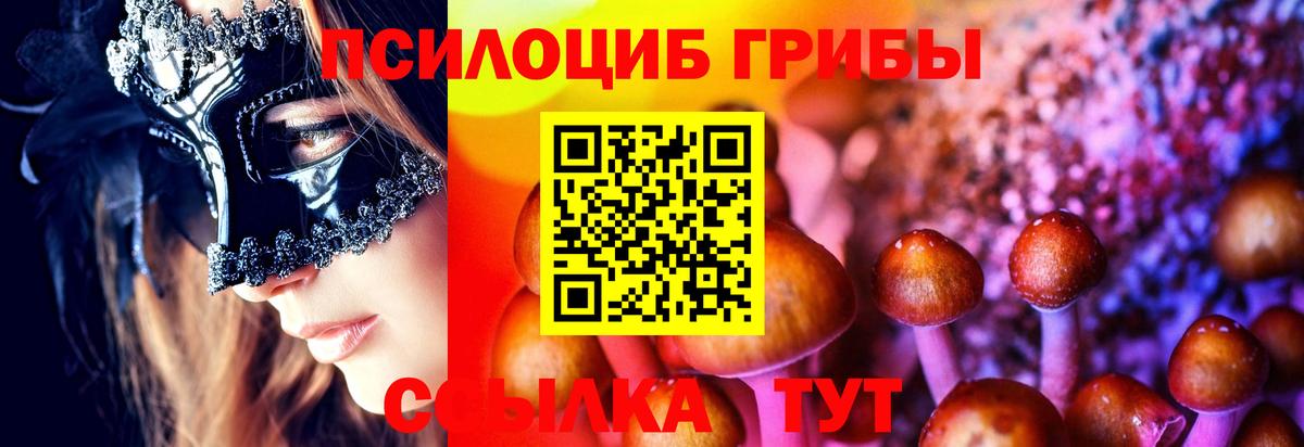 Рославль  Галлюциногенные грибы Psilocybe  Вход с VPN  Галлюциногенные грибы Psilocybe 